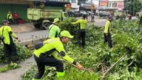 60 Pohon Dipangkas Antisipasi Tumbang Saat Cuaca Ekstrem di Jakbar