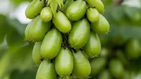 6 Pengganti Belimbing Wuluh untuk Garang Asem agar Tetap Segar