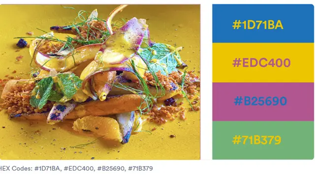 10 Kombinasi Warna Tidak Biasa yang Memukau untuk Desain Modern