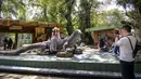 Seorang wanita berpose di atas patung komodo di Kebun Binatang Surabaya, Surabaya, Jawa Timur, pada Rabu 29 April 2026. (JUNI KRISWANTO/AFP)
