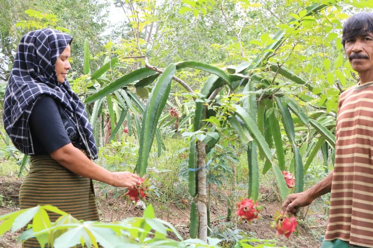 Hadapi Pandemi Corona, Mitra Binaan CSR Perta Arun Gas Tetap Produktif