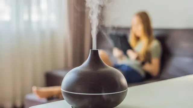 Ilustrasi Essential Oil Diffuser via Shutterstock.com