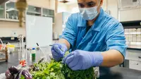 Raih Penghargaan, Mahasiswa Ini Ubah Limbah Sayur dan Buah Jadi Panel Surya