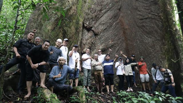 Pohon besar yang berada di Batu Rongring