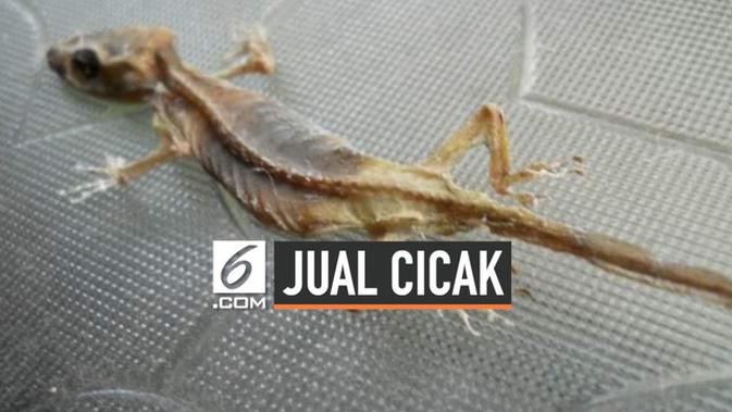 Video Heboh Pria Jual Cicak Asin Goreng Bikin Warganet Jijik