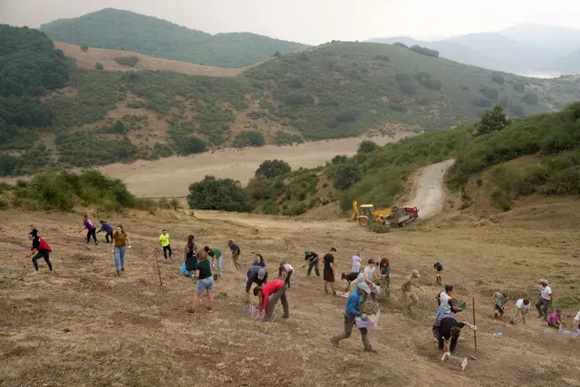 Area Hutan Pegunungan di Spanyol Dibersihkan