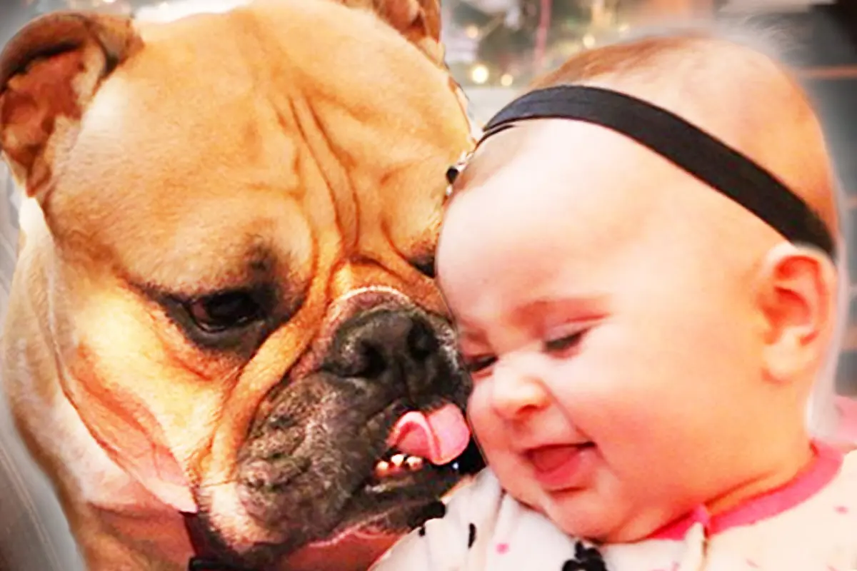 Hubungan Bayi Imut dan Anjing Kesayangannya Ini Bikin Gemas