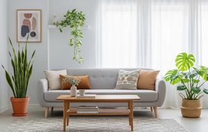 Tanaman Terbaik untuk Ruang Tamu dan Bikin Rumah Terlihat Lebih Segar dan Hidup/ AI