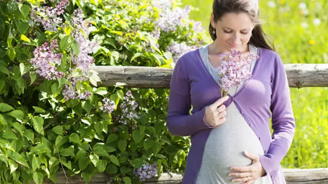 Foto: copyright thinkstockphotos.com 