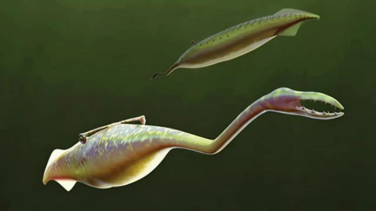 Gambar rekonsturksi Tully Monster (Foto: Sean McMahon/Yale University/Reuters).