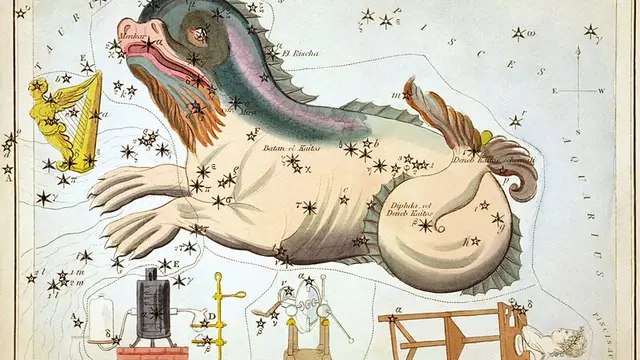 Cetus Zodiac Sign (wikipedia)