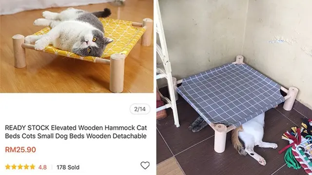 10 Potret Ini Buktikan Kucing Bisa Tidur di Mana Saja, Bikin Geleng Kepala