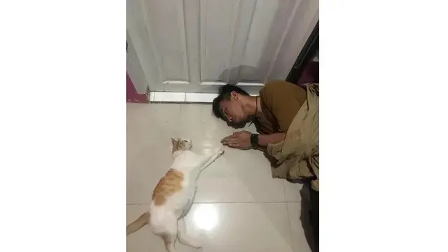 6 Kelakuan Kocak Orang Rebahan Bareng Kucing Ini Bikin Tepuk Jidat