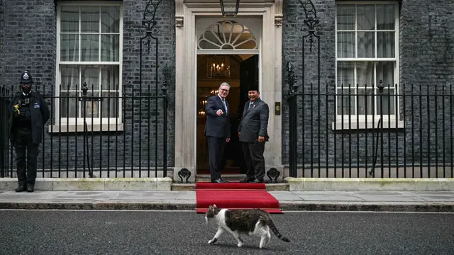 Larry the Cat Hangatkan Momen Pertemuan Presiden Prabowo Subianto dengan PM Keir Starmer di Downing Street