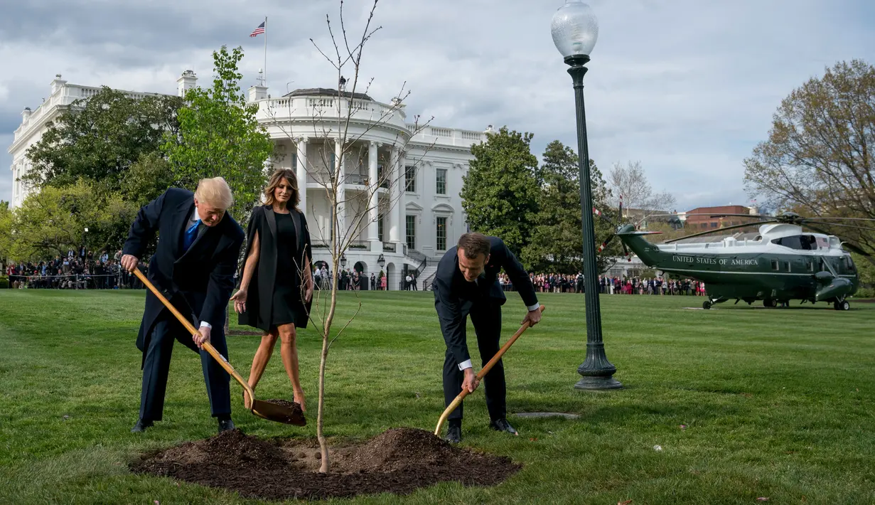 Melania Trump melihat Presiden Donald Trump dan Presiden Prancis Emmanuel Macron saat menggunakan sekop dalam upacara penanaman pohon di South Lawn Gedung Putih, Washington (23/4). (AP Photo / Andrew Harnik)