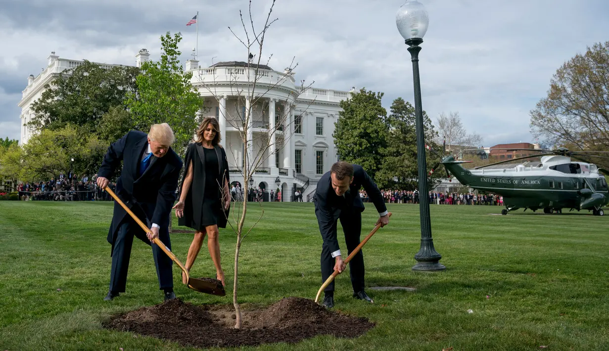 Melania Trump melihat Presiden Donald Trump dan Presiden Prancis Emmanuel Macron saat menggunakan sekop dalam upacara penanaman pohon di South Lawn Gedung Putih, Washington (23/4). (AP Photo / Andrew Harnik)