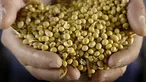 Kacang kedelai juga bisa digunakan untuk menghilangkan komedo. Caranya dengan menjadikan kedelai tersebut sebagai jus, lalu usapkan pada wajah, diamkan beberapa menit kemudian bilas dengan air bersih. (Scott Olson/Getty Images/AFP)