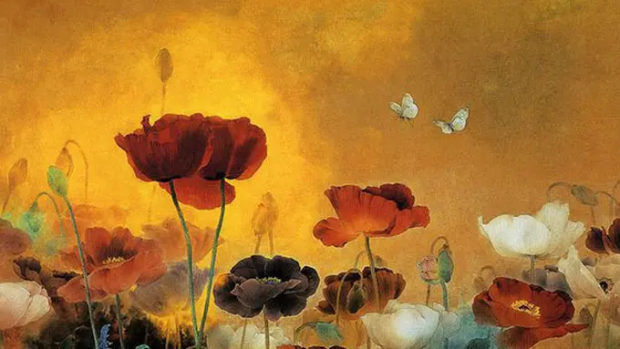 (C) josephdonaghy.com