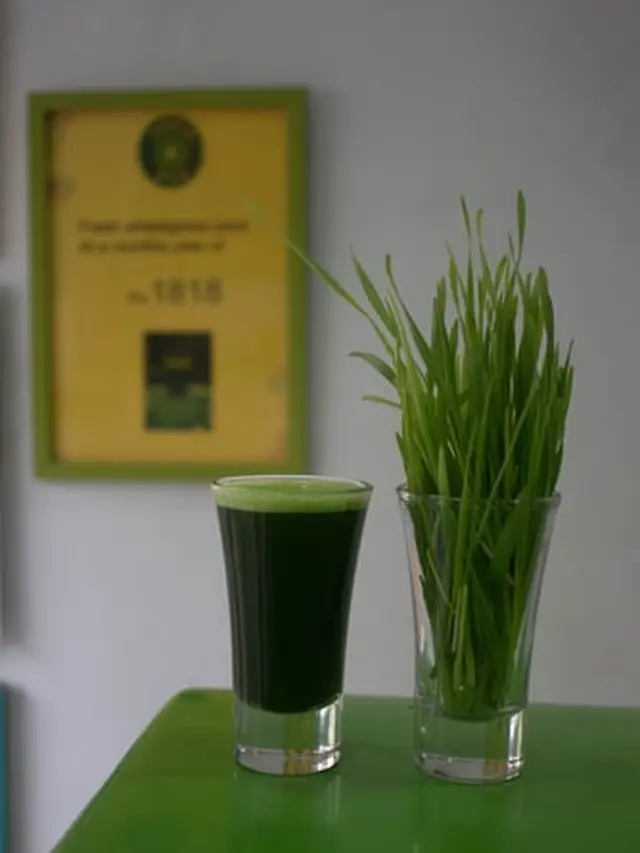 Ilustrasi air klorofil