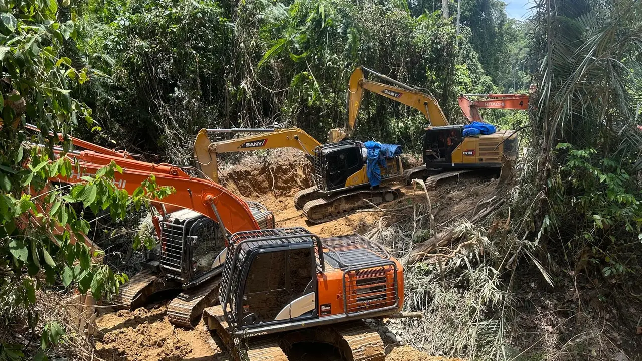 Lokasi penambangan emas ilegal di hutan Mandailing Natal