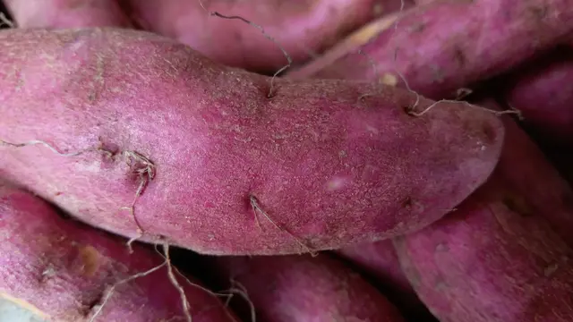 Meningkatkan Kesehatan Jantung