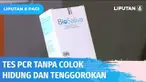 Perusahaan Bioteknologi Indonesia Nusantara Genetics atau Nusantics meluncurkan layanan tes PCR kumur atau pumu pada (18/02/2022). Dengan mendaftar di laman nocolokcolokclub.id pelanggan dapat melakukan PCR tanpa mencolok hidung dan tenggorokan lho.