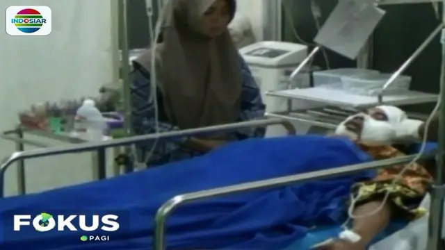 Warga Riau Kritis Usai Dicakar Harimau