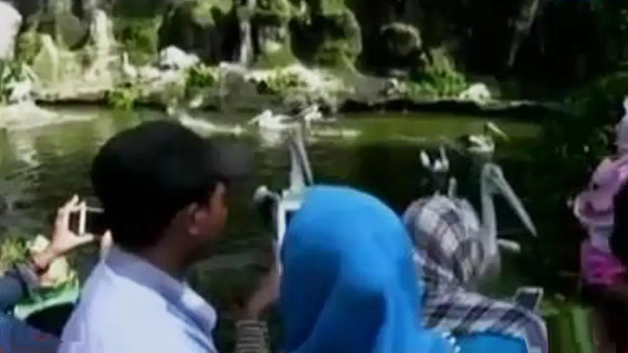 Segmen 7: Berlibur di Ragunan hingga Wisata Kapal Viking