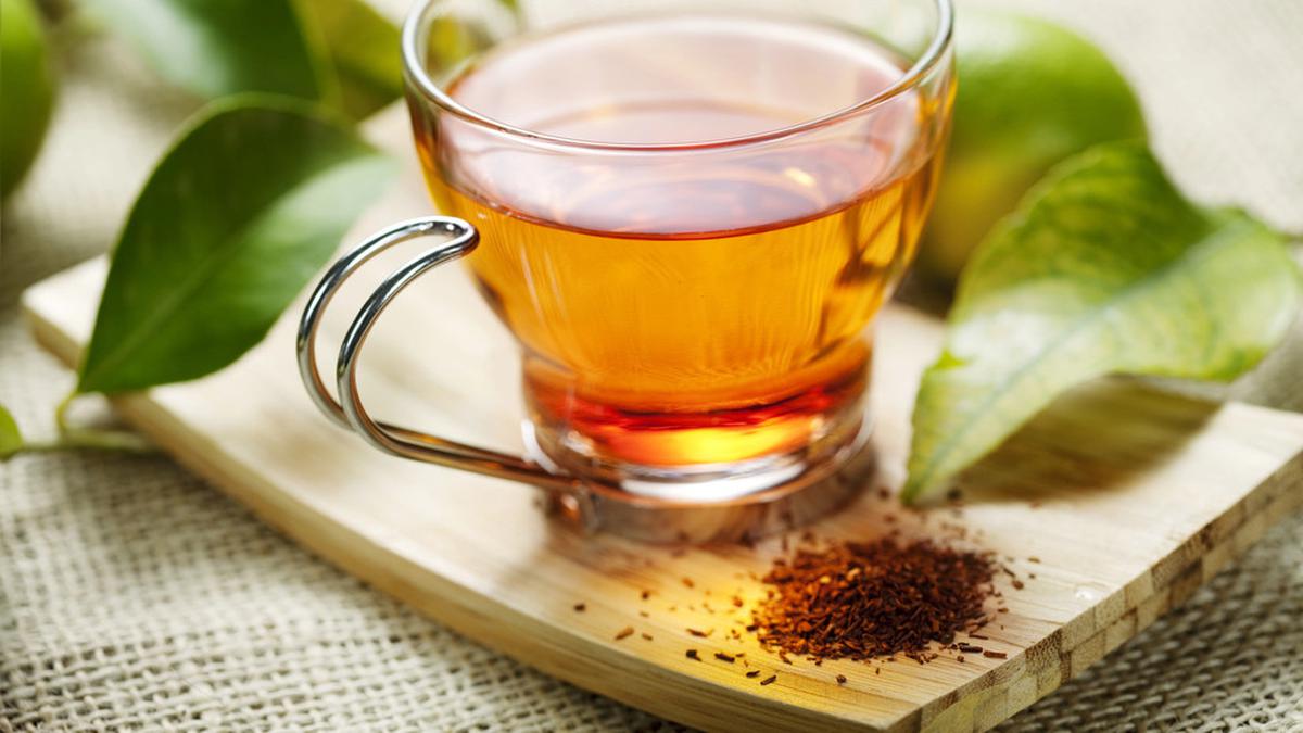 5 Khasiat Rooibos Tea sebagai Minuman Ajaib yang Meningkatkan Kesehatan