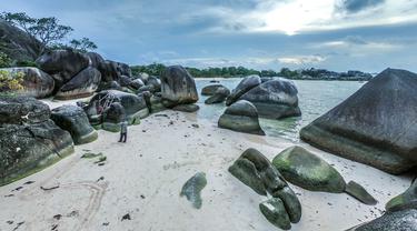 Ilustrasi wisata Pantai Tanjung Tinggi, Bangka Belitung