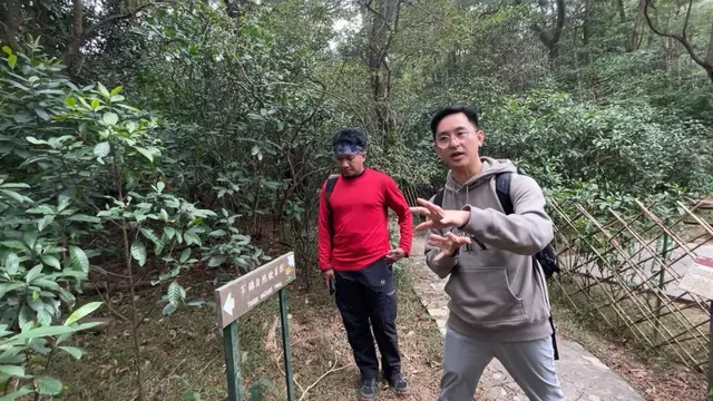 Menemukan Kedamaian dalam Forest Bathing di Tai Mo Shan Country Park, Hong Kong