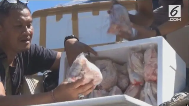 Polisi menggagalkan pengiriman daging ayam dan bebek ilegal dari Surabaya