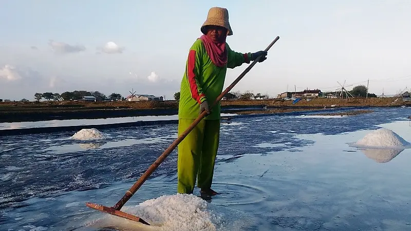 Hujan Datang, Senyum Petani Garam Lenyap