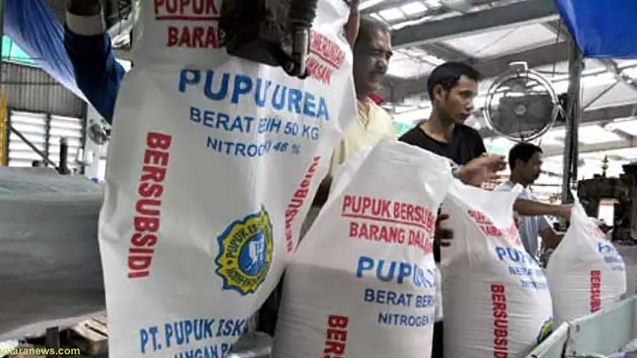 pupuk-subsidi130403b.jpg