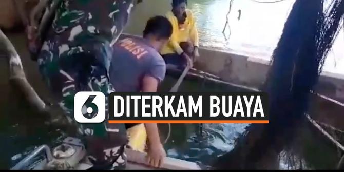 VIDEO: Mau Mandi, Wanita di Sulawesi Tewas Diterkam Buaya