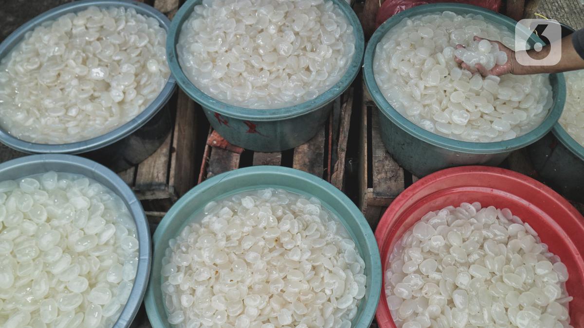 Cara Merebus Kolang-Kaling, Dijamin Empuk dan Cocok untuk Kolak Takjil