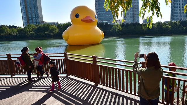 Instalasi Bebek Raksasa di Danau Seokchon Seoul