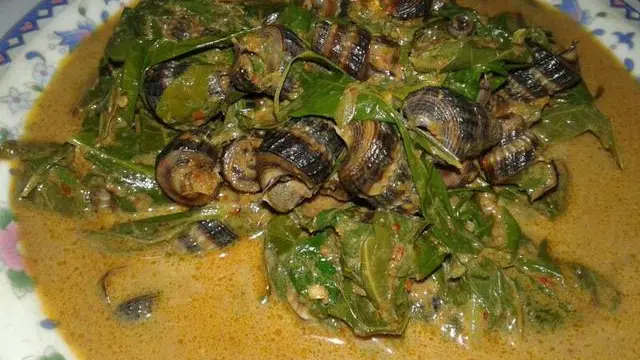 resep gulai siput/cookpad
