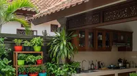 7 Model Kebun Sayur Dekat Dapur yang Produktif Tapi Tetap Hemat Lahan, Inspirasi Hunian 2026