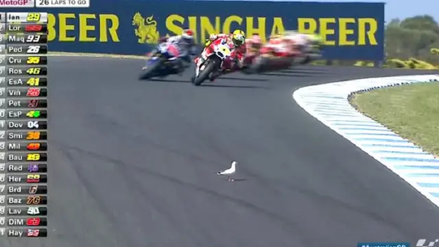 Andrea Iannone (Fox Sports)