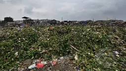 Tumpukan sampah bercampur dengan eceng gondok menggunung di Waduk Pluit, Jakarta, Jumat (13/2/2015). Sampah-sampah tersebut tampak mengapung di permukaan waduk.(Liputan6.com/Faizal Fanani)