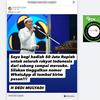 Cek Fakta: Hoaks Dedi Mulyadi Bagikan Rp 50 Juta untuk Warga dari Sabang-Merauke