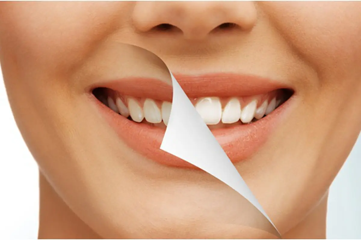 (c) shutterstock