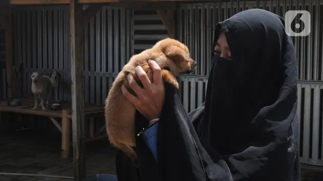 FOTO: Kedekatan Hesti Sutrisno dengan Anjing-Anjing Liar Peliharaannya
