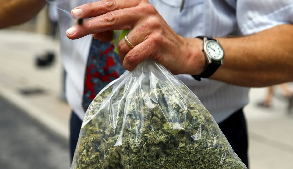 Aktivis Ray Turmel membawa plastik berisi ganja medis di luar gedung pemilihan federal Munk Debat, Toronto, Kanada (28/9/2015). Ray Turmel  menginginkan ganja di negaranya dilegalkan untuk kepentingan medis. (REUTERS/Mark Blinch)