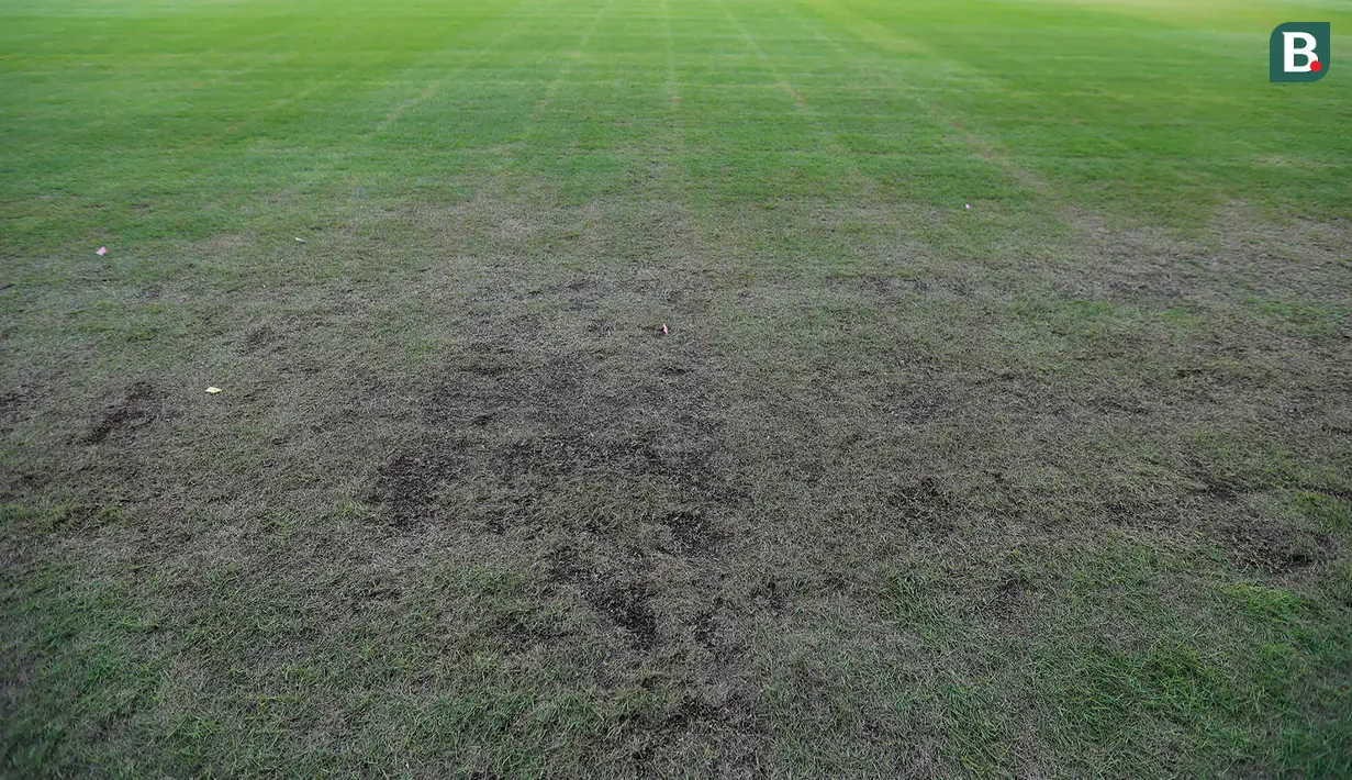 Kondisi rumput tampak botak dan mengering Stadion Utama Gelora Bung Karno (SUGBK), Senin (13/3/2023). Kualitas rumput SUGBK menurun setelah digunakan dua konser di stadion tersebut. (Bola.com/M Iqbal Ichsan)