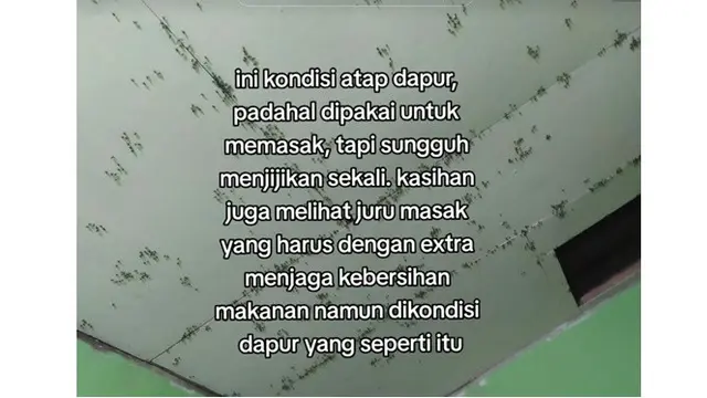 7 Potret Pilu Acara Pernikahan Dipenuhi Ribuan Lalat, Curhatan Pengantin Ini Viral
