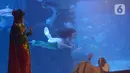 Penyelam berkostum putri duyung berenang dalam Jakarta Aquarium dan Safari, Sabtu (19/12/2020). Jakarta Aquarium dan Safari menghias pohon Natal dari bahan daur ulang mulai 20-27 Desember 2020 untuk memperingati perayaan Natal. (merdeka.com/Imam Buhori)