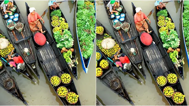 Courtesy portalbanjarmasin.com