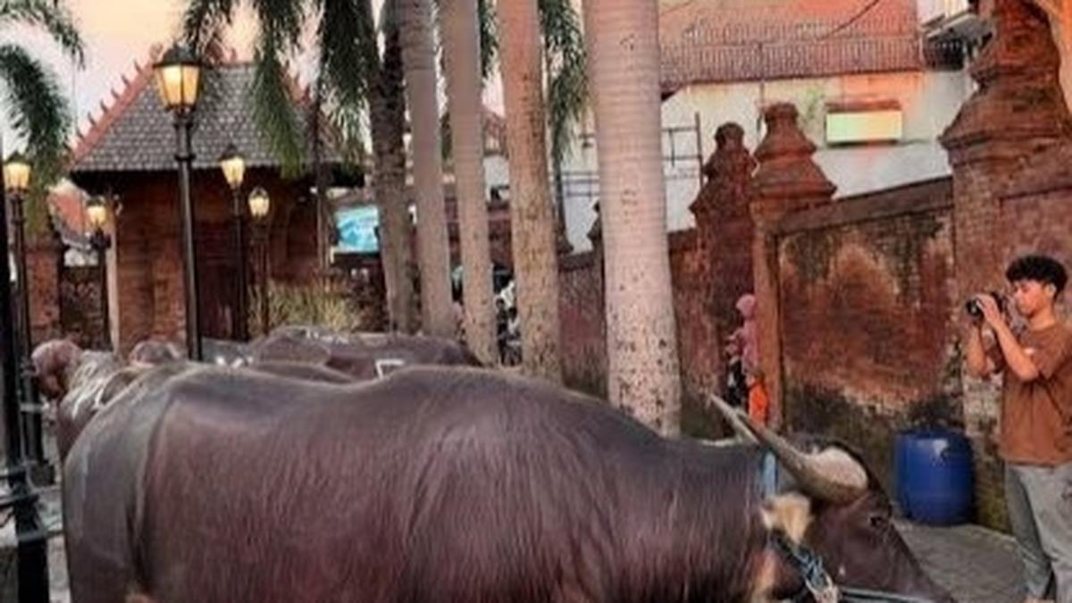 Cerita di Balik Warga Kudus yang Tak Sembelih Sapi Setiap Idul Adha